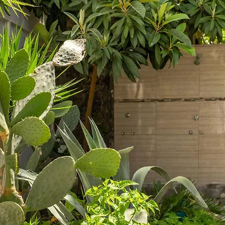 Hotel Tropic Club & - 3*