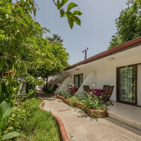 Tropic Club & - 호텔 시데