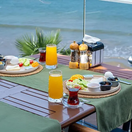 Tropic Club & - 시데