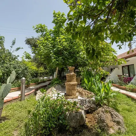 Tropic Club & - 시데