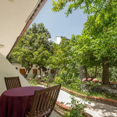 Hotel Tropic Club & -